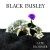 En fantastisk debutplatta av Black Paisley